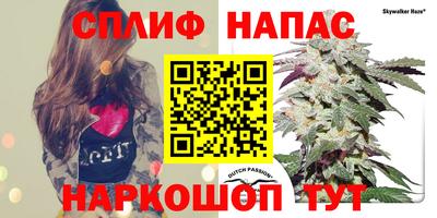 марихуана Заводоуковск