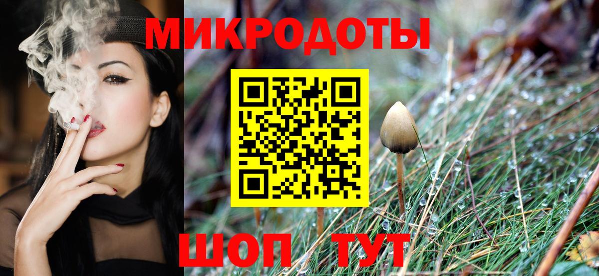 Псилоцибиновые грибы Psilocybe Ленинск-Кузнецкий